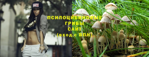 не бодяженный Алексин